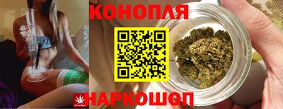 гашиш Будённовск