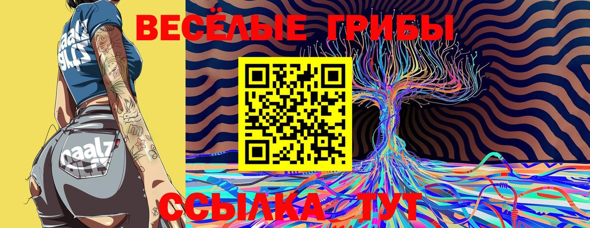 Галлюциногенные грибы Cubensis Янаул